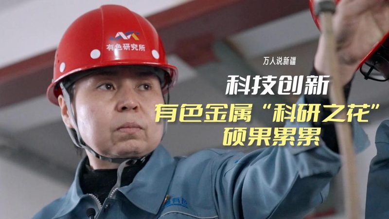 上海企业软件测试报告的核心要素解析